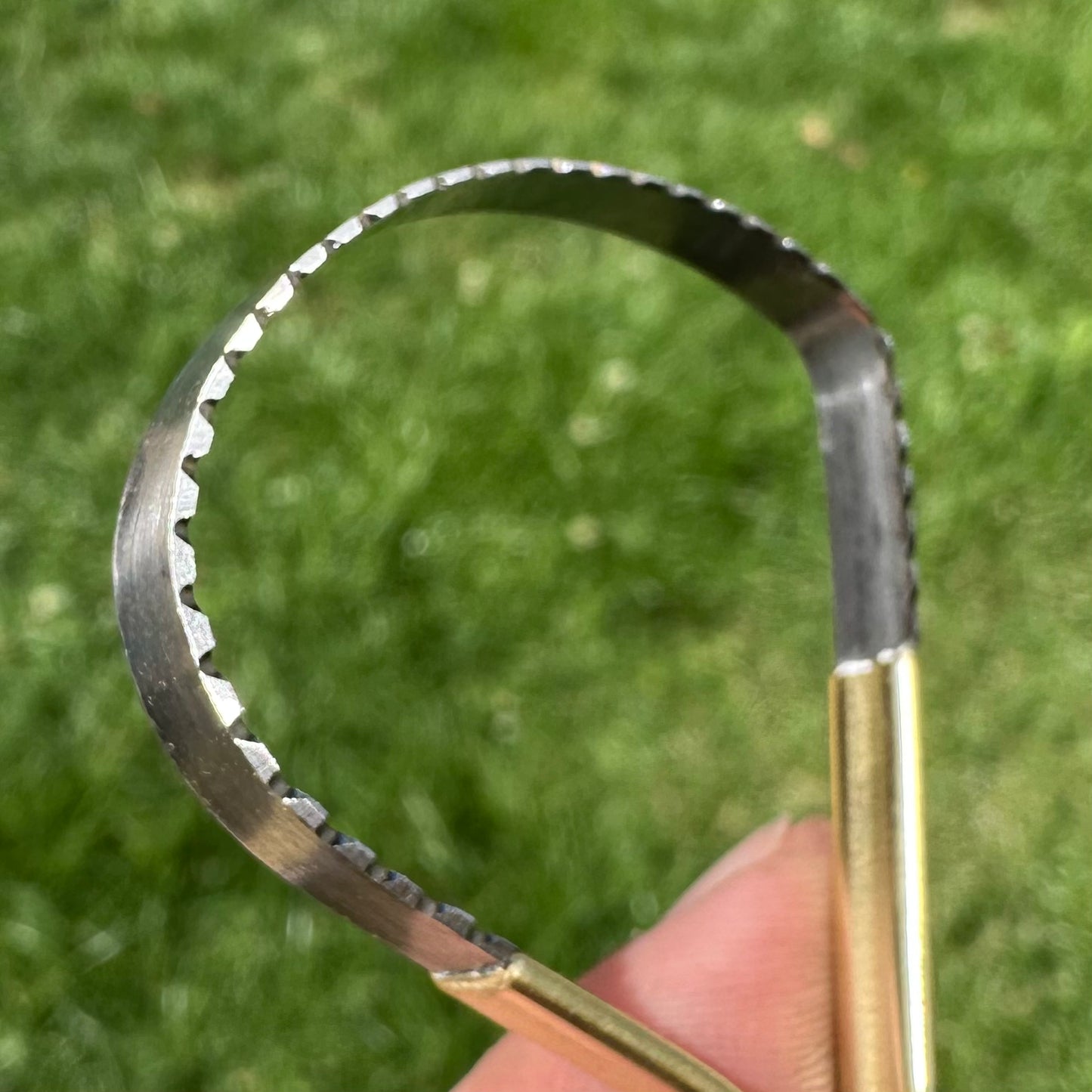Red Oak Burl Asymmetrical Arc Loop Sawblade Rake